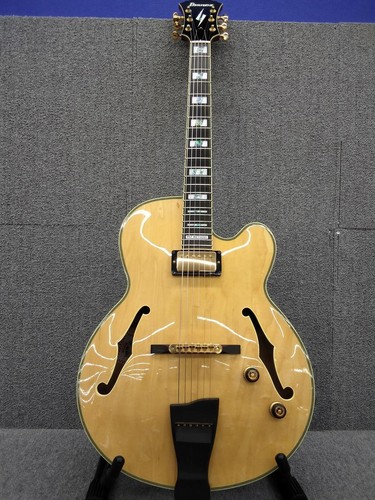 Ibanez 200 electric - pm-200,