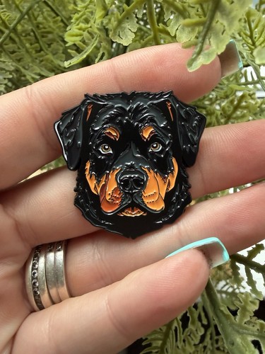 Rottweiler head dog pet - rottweiler,