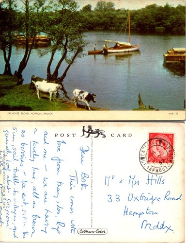 Salhouse broad norfolk broads - broad,