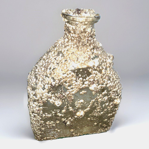 Natural barnacle encrusted - natural, barnacle-encrusted