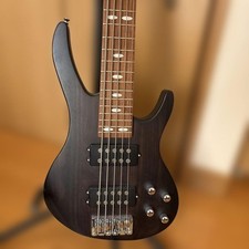 5-String Bass Guitar
