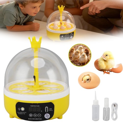 Automatic egg incubator - egg,