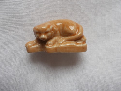 Wade cat curled up - wade,
