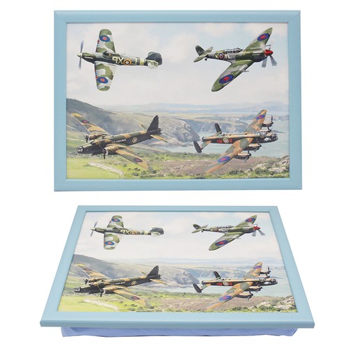 Aircraft lap tray - aircraft,