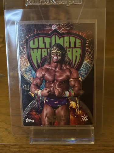 2025 topps universe wwe - 2025,