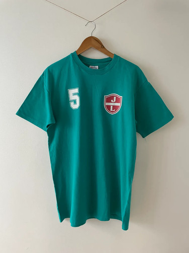Hanes shirt mens teal - t-shirt,