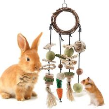 Rabbit Treats Rabbits Cage Hanging Chew Toys Guinea Pig Chinchilla Bunny Toys UK