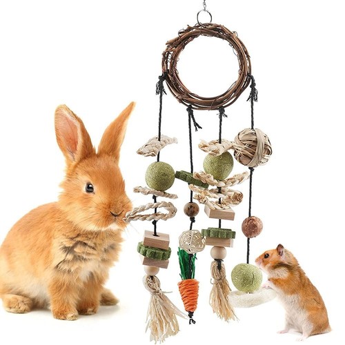 Rabbit treats rabbits cage - rabbit,