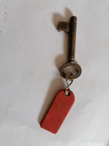 Old historic key - old, cichlid