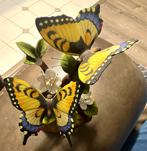 Stefani porcelains papilio - stefani,