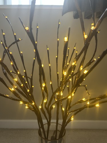 Twig lights battery - x,