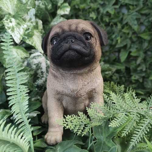 Vivid arts pug puppy - puppy, highly