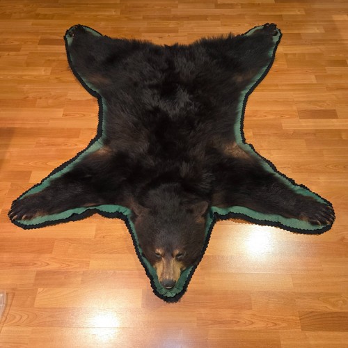 Vintage brown bear skin fur - skin,