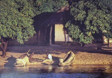 Malawi - Lakeshore Scene, Vintage Postcard