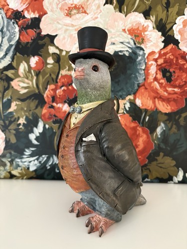 Gentleman pigeon smartly - gentleman, pigeon,