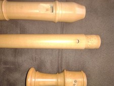 Mollenhauer Pearwood Denner