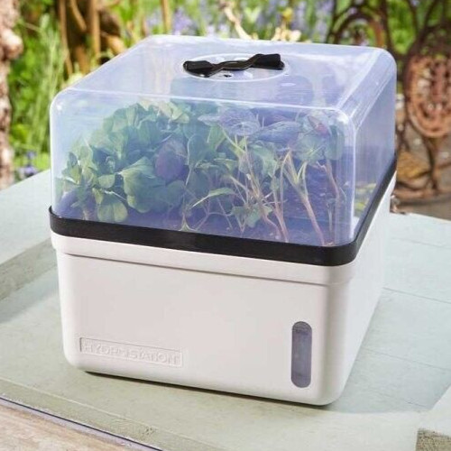 Mini greenhouse propagator - mini,