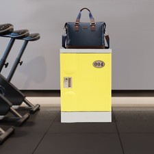 19'' Lockable Storage Cabinet