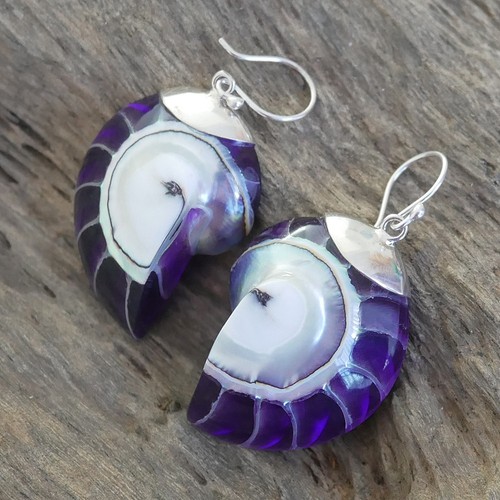 Purple nautilus shell earrings - shell,