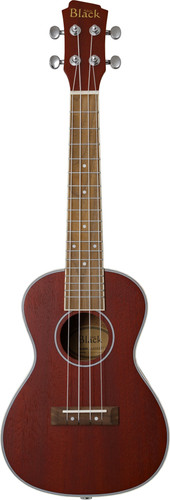 Adam black electric acoustic - adam,