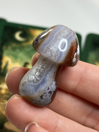 Blue lace agate - , moss