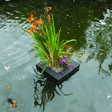 Garden Pond Floating Plant