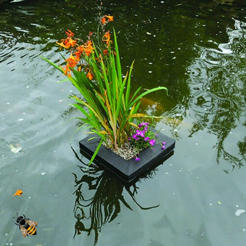 Garden pond floating - pond, plant