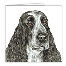 Blue Roan English Cocker