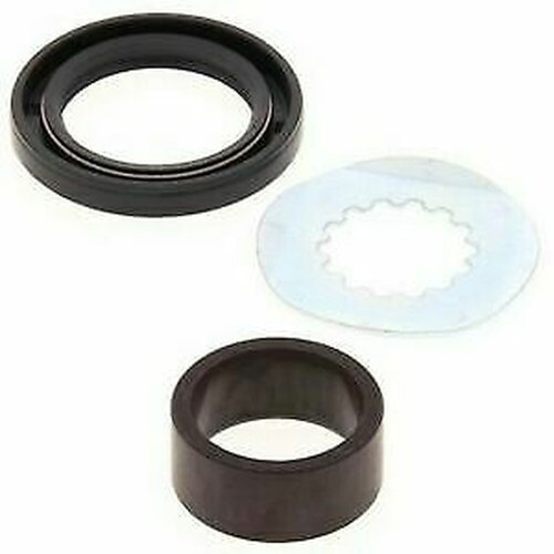 Secondary shaft seal kit - secondary,