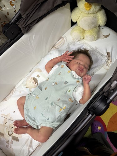 Reborn quinlyn bonnie - bonnie, brown