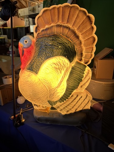 Turkey don featherstone - 25",