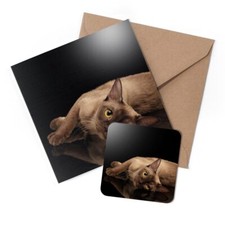 1 x Greeting Card & Coaster Set - Burmese Cat Kitten Cats #50418