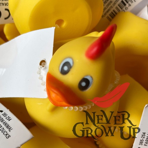 Ngu yellow chicken - chicken, duck