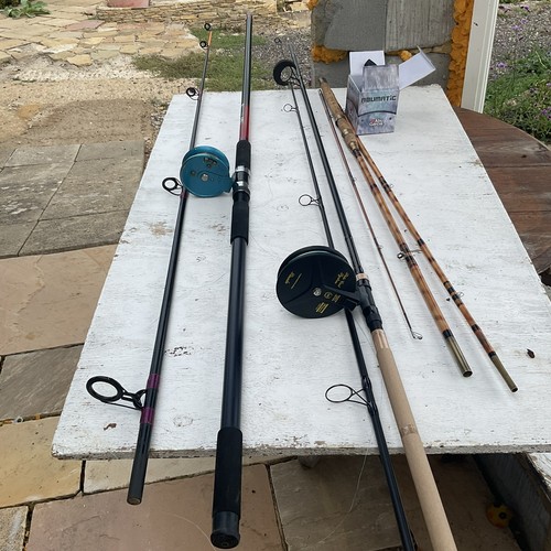 Daiwa 12ft carbon - daiwa, harrier