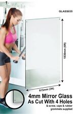 Large Mirror Wall Safety Backed 6Ft X 3Ft 183 X 91cm Glass With 4 Holes Home Gym