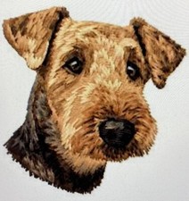 Welsh Terrier Dog Breed