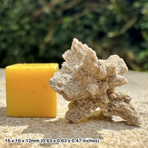 Rare sand rose crystal - sand,