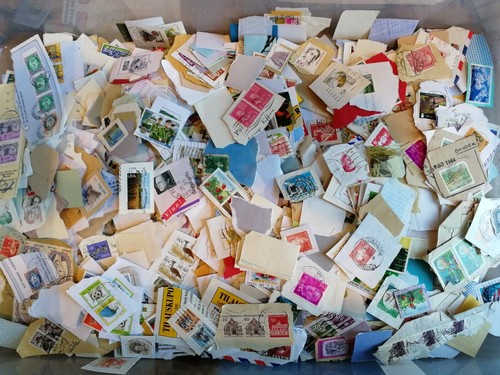 World unsorted charity - unsorted,
