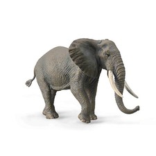 Collecta african elephant - collecta,