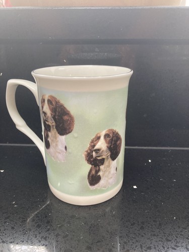 Springer spaniel fine - springer, bone