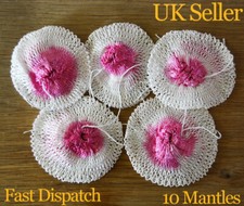 10 X Small Campingaz Type Lamp