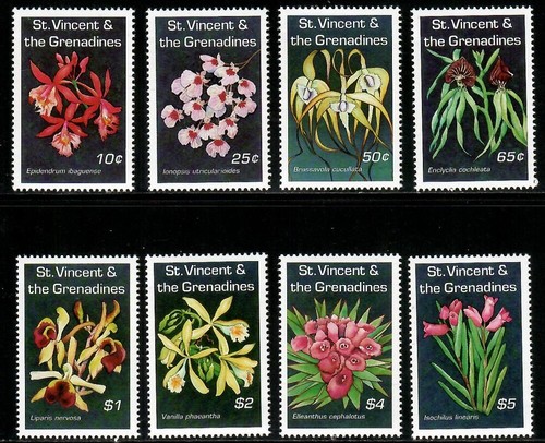 Vincent 1994 orchids - vincent,