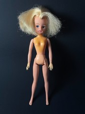 Pedigree sindy ballerina - sindy, long