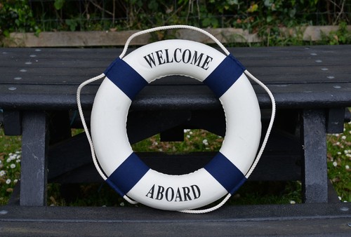 Blue white 50cm life ring - blue,