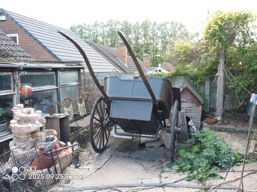 Pony trap - , )