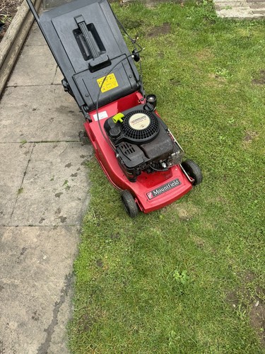 Mountfield empress please - mountfield, 16