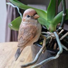 Sparrow Small Bird Pot Hanger