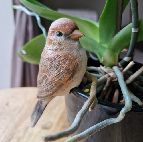 Sparrow small bird pot hanger - small,