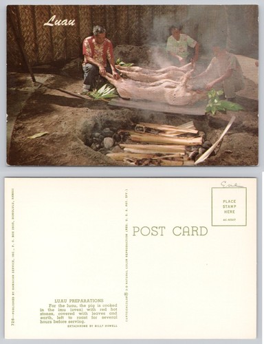 Vintage hawaiian luau - vintage, pig