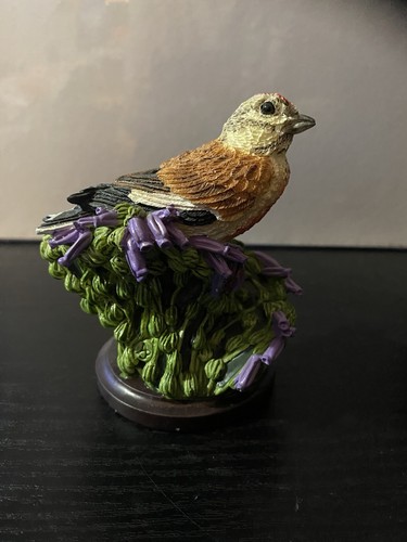 Country bird collection linnet - bird,